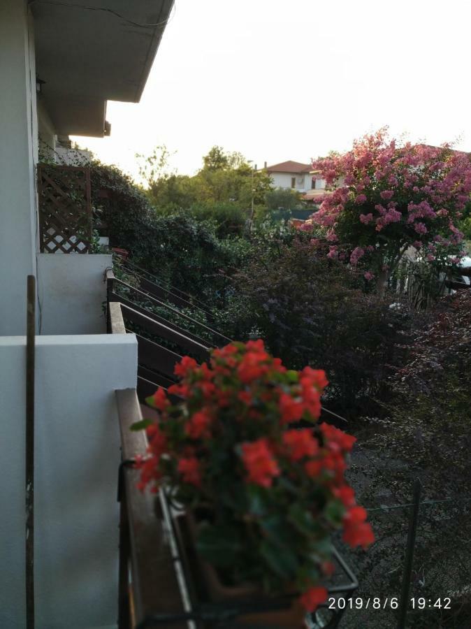 Bella Civita باغنوريغيو المظهر الخارجي الصورة